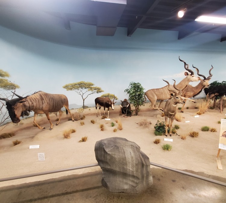 Rosenbruch World Wildlife Museum (Saint&nbspGeorge,&nbspUT)
